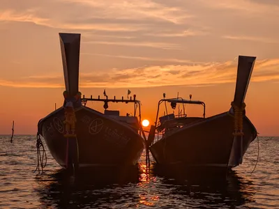 Twin Longtails at Sunset